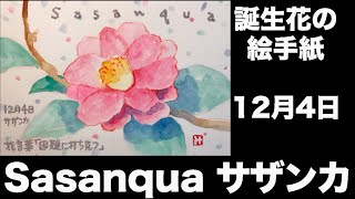 誕生花の絵手紙　12月4日 Sasanqua サザンカ