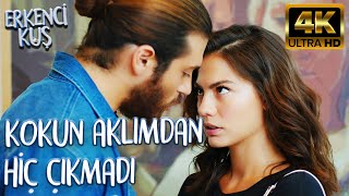 Kokun Beni Büyülüyor Sanem!😍 (4K ULTRA HD) | Erkenci Kuş