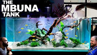 The Mbuna Tank: EPIC 4ft FIRST TIME Aquarium (Aquascape Tutorial)