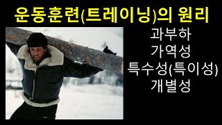 운동생리학: 운동훈련(트레이닝)의 원리