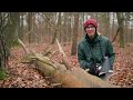 photographing the hidden world of the forest floor macro walks ep9