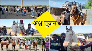 अश्व पूजन 2022  || 42 Horse Pooja In One Day