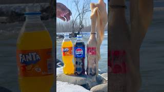 “Mentos vs. Coke, Pepsi, and Fanta in Winter: What Happens?”❄🔥