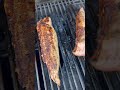 Perfectly Grilled BBQ Pork Tenderloin