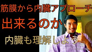 🇯🇵筋膜を辿ると内臓に