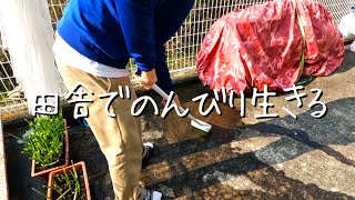 田舎暮らし家賃34000円アラサー夫婦の1日【移住256日目】