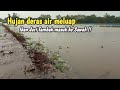 Gara-gara hujan deras Empang meluap ikan masuk ke persawahan !!!