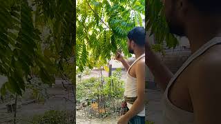 হাসির অস্থির বিনোদন শুধু হাসি #shorts #comedy #youtubeshorts #viralvideo #foryou 🤣🤣🤣🤣🤣🤣