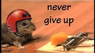 👌 NEVER GIVE UP | BEST 10 HOUR MOTIVATION VIDEO | FOR SUCCESS WHILE YOU SLEEP |