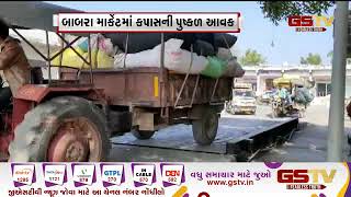 Amreli : બાબરા માર્કેટ યાર્ડમાં કપાસની પુષ્કળ આવક, ખેડૂતોને યોગ્ય ભાવ મળતા ખુશી