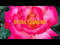 Love Song by Duc Chung MD