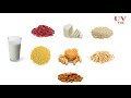 उच्च प्रोटीन शाकाहारी भारतीय खाद्य पदार्थ high protein vegetarian indian foods