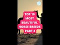 Top 10 Most Beautiful Horse Breeds Part 2 #shorts