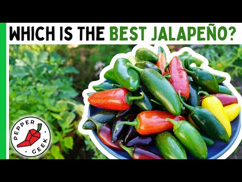 Which country grows the most jalapenos?