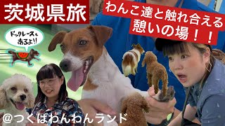 【日本最大級】もふもふに囲まれるここでは語彙力を失います【脳死】