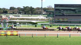 【現地】アイヴォリードレス メイクデビュー中山 新馬戦