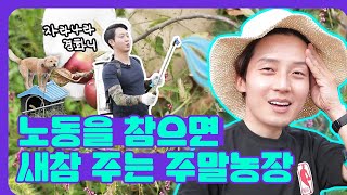 나는 농업인이다👨‍🌾사서 고생 갑! 주말 농장에 다녀오다ㅣ취준생활 EP.7