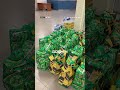 Ghana Evacuates 300 Citizens From South Africa Amid Tensions | NADMO Relief Prepared at Airport
