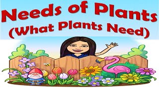 Needs of Plants | What Plants Need | Science | Kindergarten | Teacher Beth Class TV
