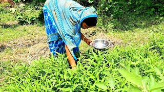 আপনারা কি এরকম সুস্বাদু স্বাদের মুখোরোচক কলমি শাকের পকোড়া খেয়েছেন?