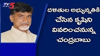 నెల్లూరులో దళిత తేజం ఏర్పాట్లు చేస్తున్న తెలుగుదేశం శ్రేణులు | Nellore Dist | TV5 News