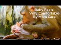 Oh Great! Baby Feels Much Comfortable With Mom Take Care, Lovely Baby Monkey, Wildlife Animal,Nature