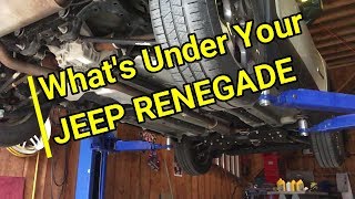 What is Under the Jeep Renegade?