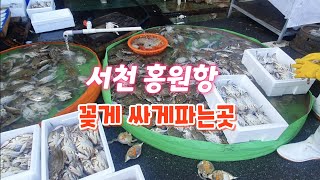 꽃게 엄청 싸네요 서천 홍원항 해마루수산