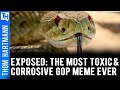 Why They Don't Want You To Believe In Democracy