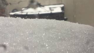 Ice Pellets Falling during Snowstorm Stella