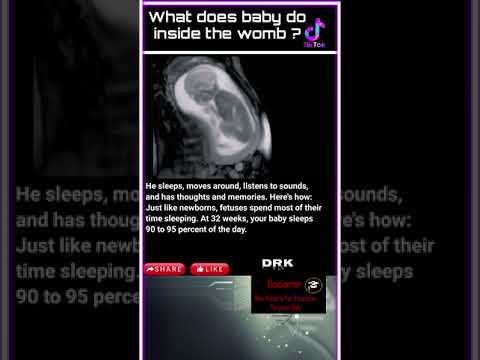 What are babies aware of in the womb?