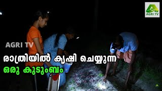 ജോലികഴിഞ്ഞെത്തി രാത്രി ടോർച്ചും എമർജൻസിയുമായി കൃഷിചെയ്യാനിറങ്ങുന്ന ഒരു കുടുംബത്തെ പരിചയപ്പെടാം