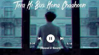 Tera Hi Bus Hona Chaahoon - Haunted-3D (Slowed & Reverb)/Magnetic Lofi