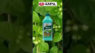 Upl Gainexa|அதிக மகசூல் பெற வேர் வளர்ச்சி ரொம்ப முக்கியம்🌱...#shortsfeed #plant #nutrition #jasmine