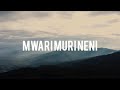 Nyasha nerugare-Mwari vanotanga basa ravo. #NyashaDzaMwari #ShonaGospel #GospelMusic #Testimony.. 