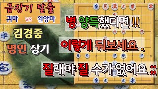 [급장기 탈출] 귀마 vs 원앙마 - 양병 잡은 후 이런 중반 공격하면 무조건 이긴다 !!