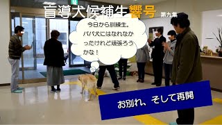 【盲導犬候補生響号 第九集】別れ、そして再開！