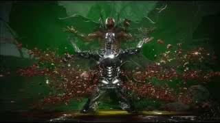 Mortal Kombat 11 - Spawn All Fatalities on Terminator