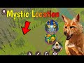 wildcraft mystic location best location for hunt and collect coins and get mystic