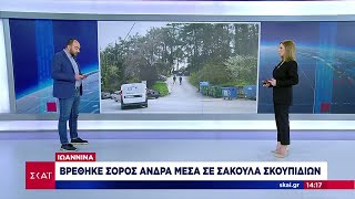 Ανατροπή με τη σορό που βρέθηκε στα Ιωάννινα: Αυτοκτονία δείχνουν τα πρώτα στοιχεία  | Ειδήσεις