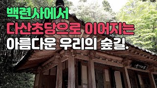 백련사에서 다산초당까지 이어지는 남도의 아름다운 숲길을 소개합니다.