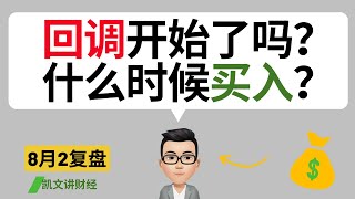 回调开始了吗？什么时候买入？｜8月2号复盘｜凯文讲财经｜纳指 标普 特斯拉 苹果 英伟达｜cc有字幕