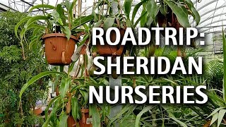 Road Trip to Sheridan Nurseries