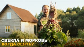 МОРКОВЬ И СВЕКЛА БЕЗ ПРОБЛЕМ. Сроки посева и необходимые удобрения.