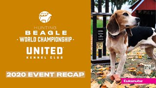 UKC Hunting Beagle World Championship 2020: Event Recap!