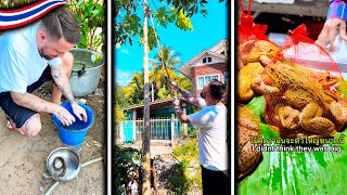 Cooking Isan Stir Fried FROG 🐸 Somtam, Eel Soup and More In Thailand