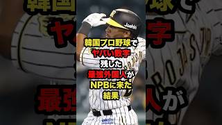 韓国プロ野球でヤバい数字残した最強外国人がNPBに来た結果 #プロ野球 #野球 #shorts