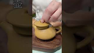 茶壺泡法，十個動作，簡單又不燙手！妳又是怎麽茶壺泡茶的？wechat：zj4867#召喚茶友 #喝茶 #普洱茶