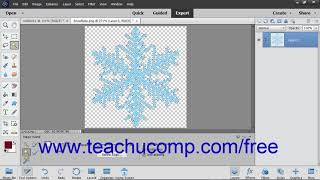 Photoshop Elements 2019 Tutorial Creating Brush Tips from Selections Adobe Training