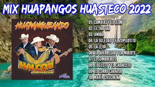 🎻MIX HUAPANGOS HUASTECOS 2022🔥MIX TRIOS HALCON HUASTECO 2022 - Cumbias Y El Leon, El Tao Tao, Amigo